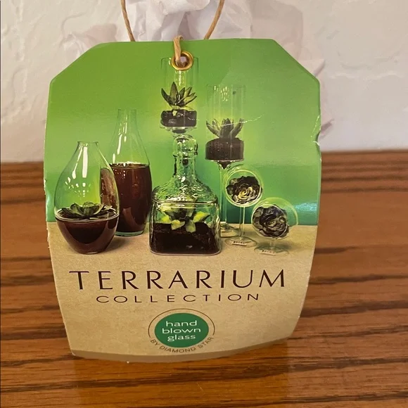 Hand blown glass Terrarium Collection Hanging Glass Planter with Rope - Picture 2 of 4